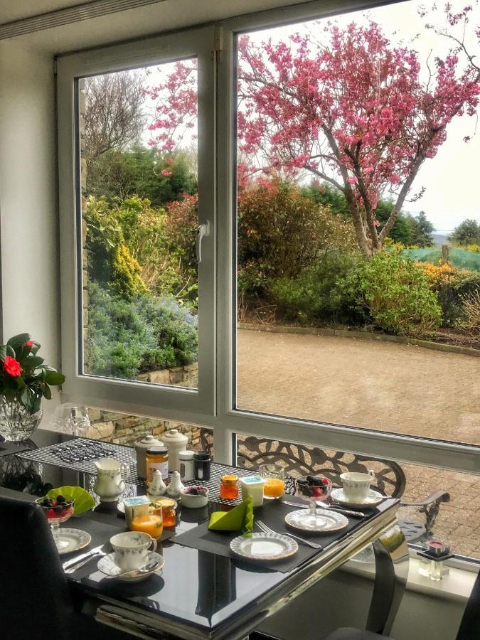 Niblick Bed & Breakfast Бантри Екстериор снимка